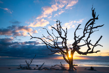 Strength of a New Day